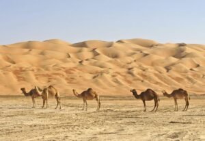 A`Sharqiyah Sands